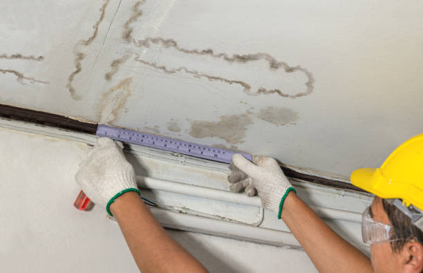 Affordable Water Damage Repair solutions in Charleston, MS